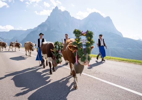 -fabian-dalpiaz-web1[2]